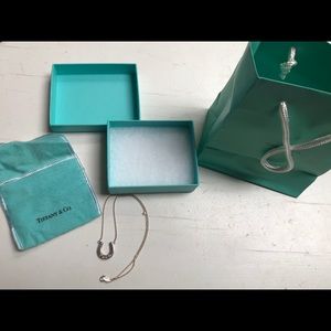 Tiffany & Co Silver Lucky Horseshoe Necklace 16